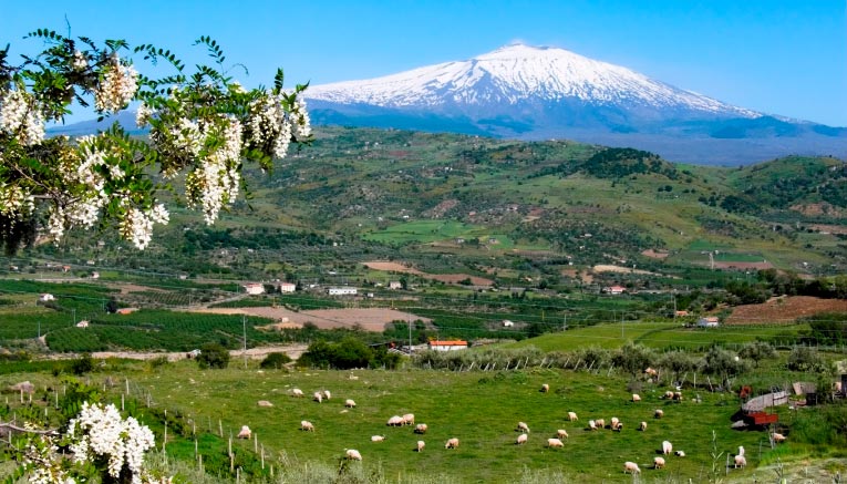 Bsii-sicily-biking-2